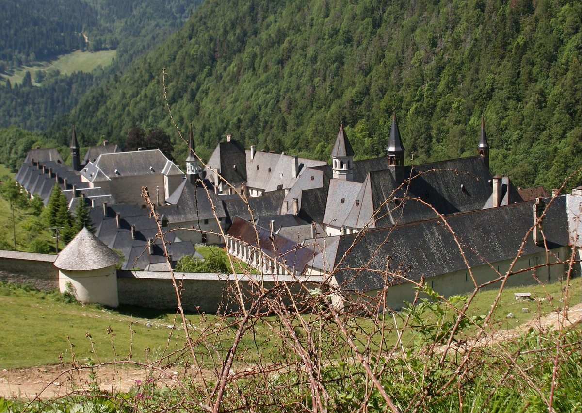 Image for the Tweet beginning: 🔴📣[ EDITORIAL ] Le procès