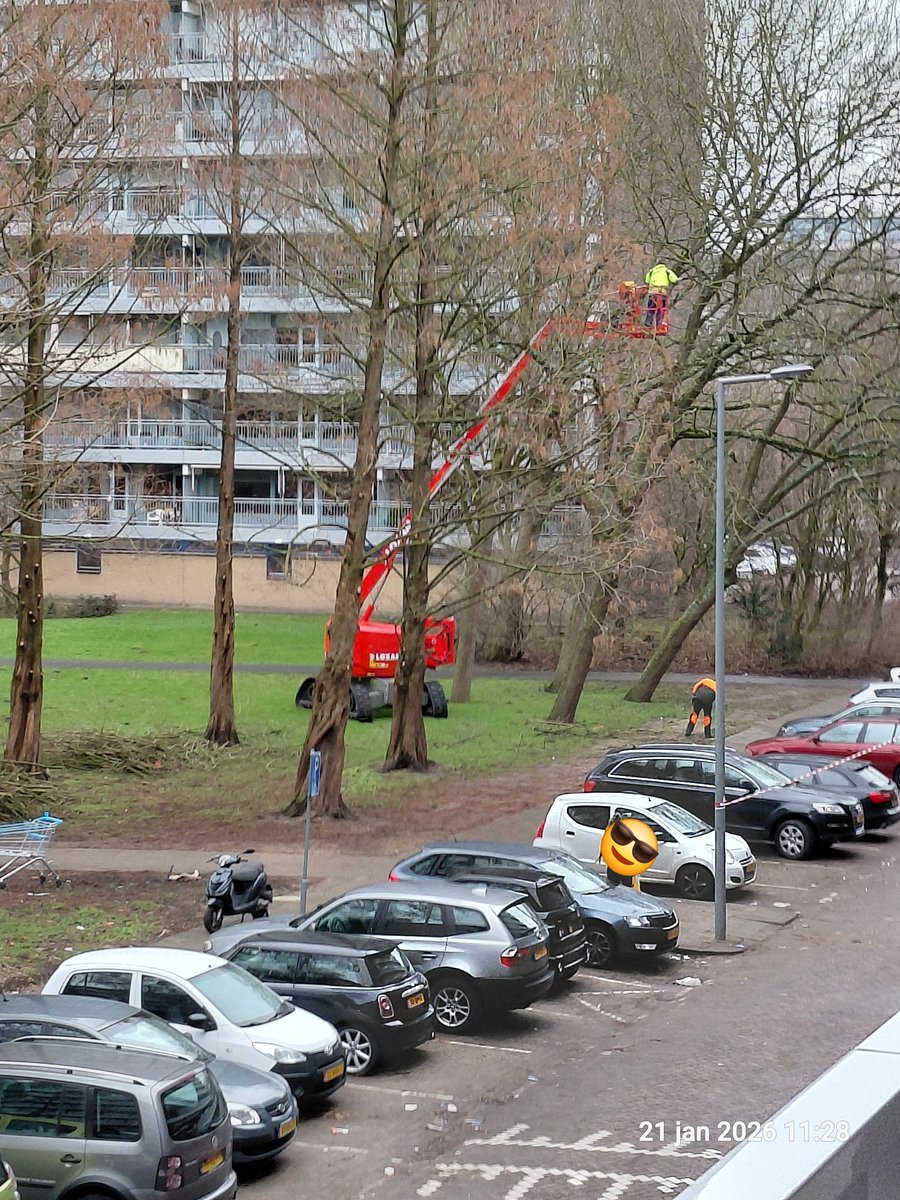 Eliotplaats daar zijn ze de 
Bomen aan het Snoeien