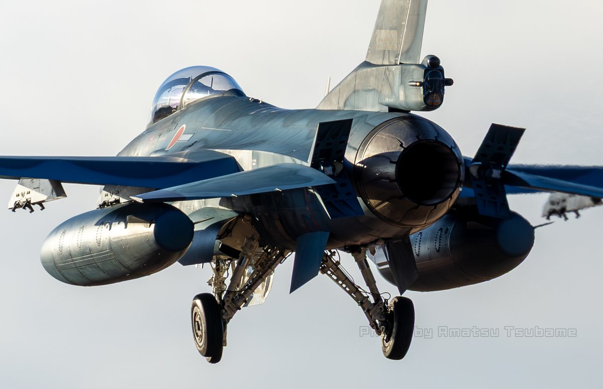 天津つばめ tweet media