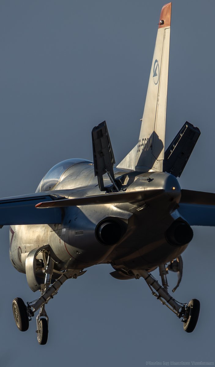 天津つばめ tweet media