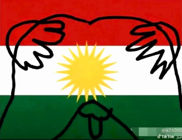 turkpampa tweet media