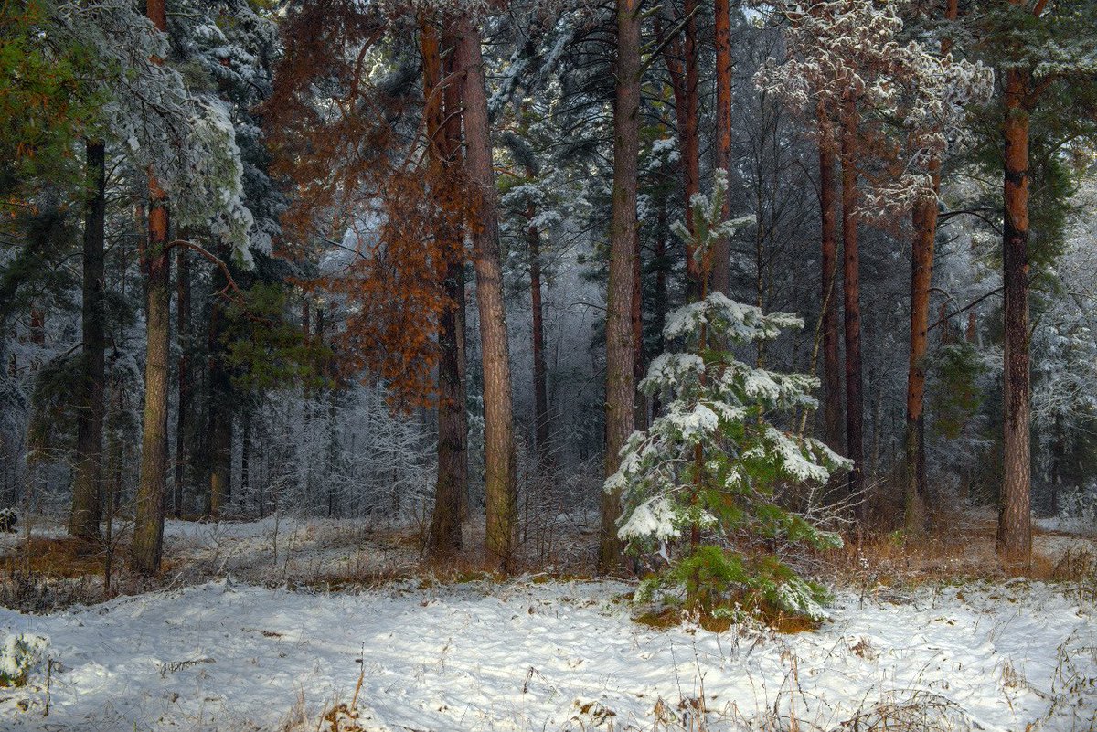 AcademiaAesthe1's tweet image. by Dmitry Alekseev