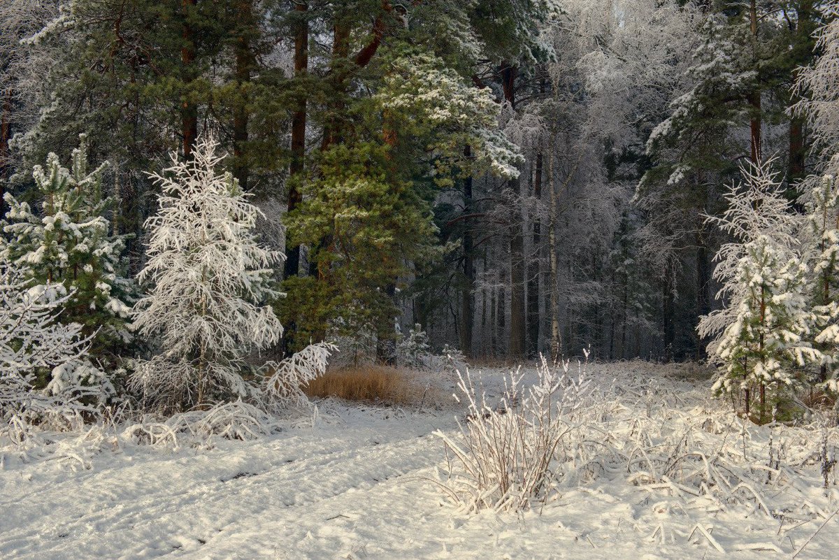 AcademiaAesthe1's tweet image. by Dmitry Alekseev