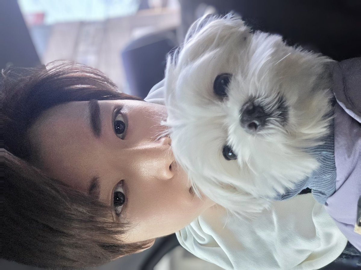 bboobieq's tweet image. สมัครบบซองชาน ไม่ต้องมีแฟนก็ได้จิงๆ