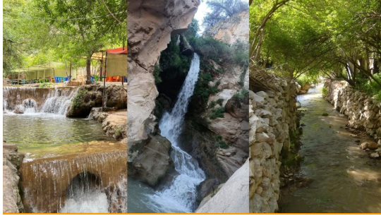 الأمطار تنعش ينابيع المملكة وتفتح نافذة أمل للأمن المائي والزراعي 