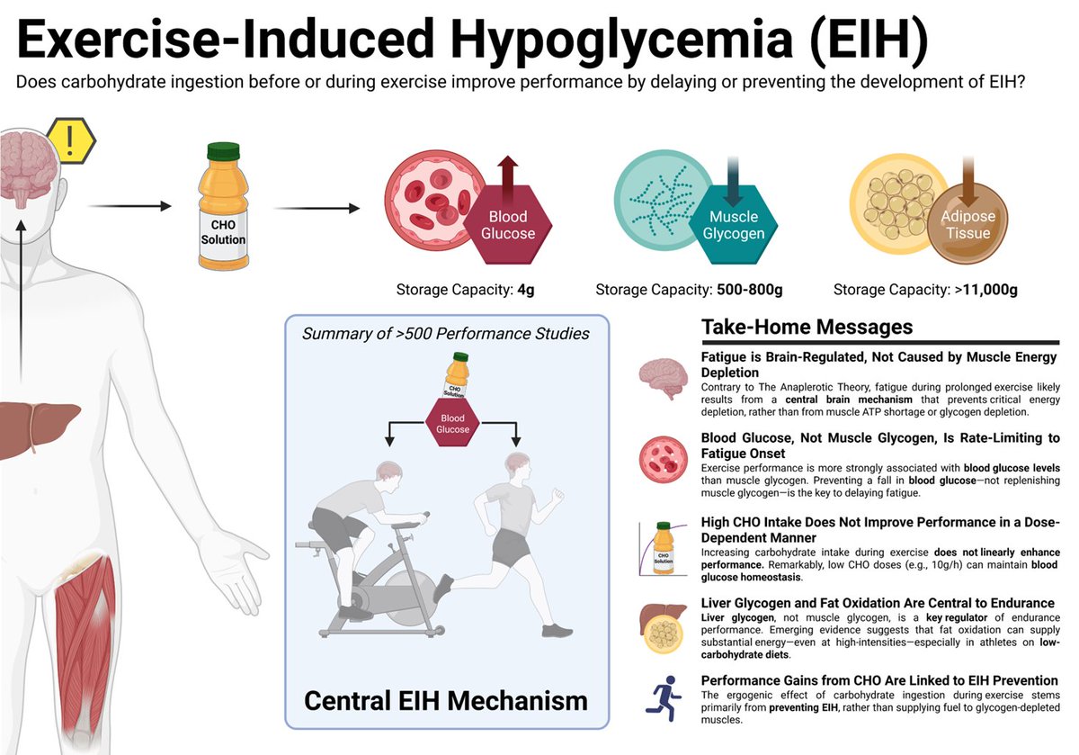 Andrew Koutnik, Ph.D. tweet media