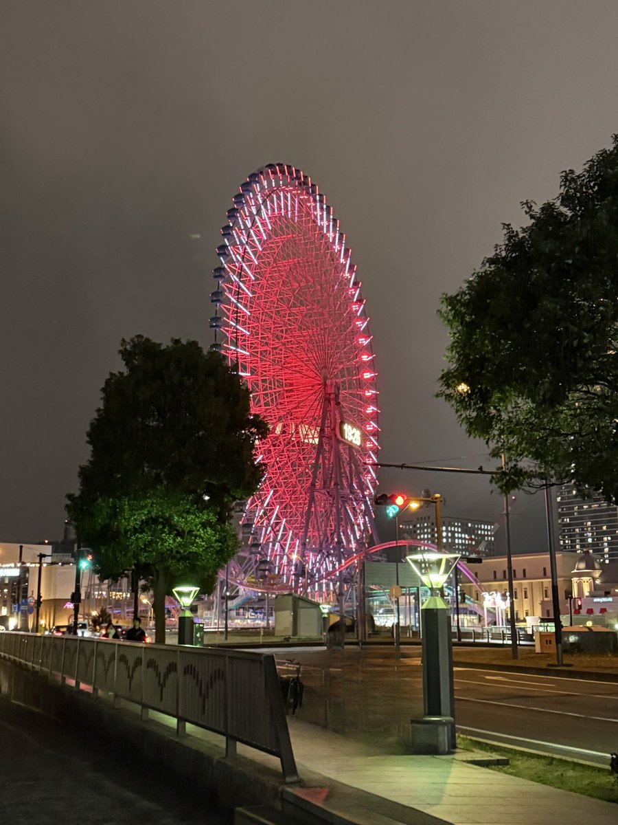 雪降ってきた❄️