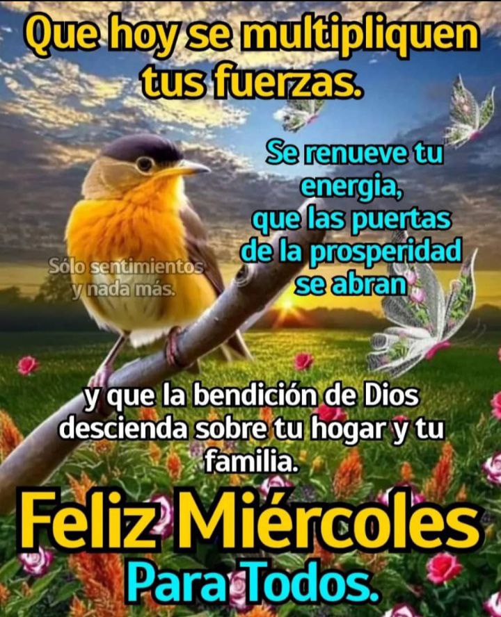 Manuel Yovera🇻🇪 (@manuelyovera12) on Twitter photo 