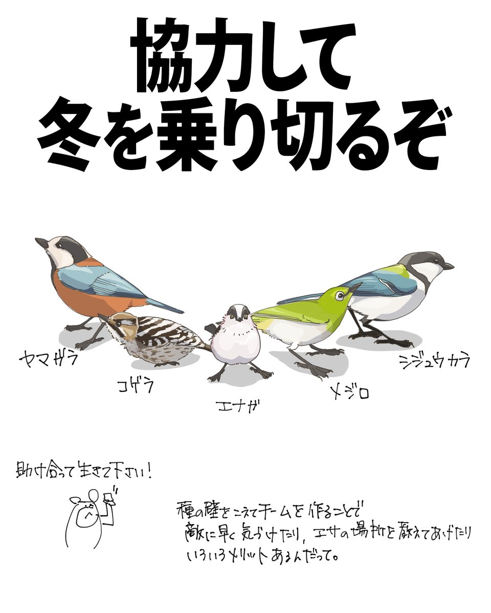 商談中⭐個性派⭐カラフルな小鳥たちと木立 冬の森。種類の違う小鳥たちに囲まれることがあります。 混群と