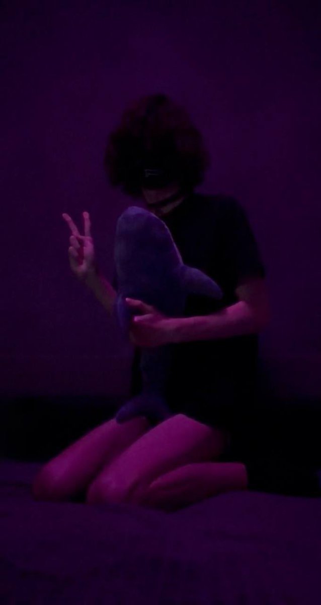 Felix🌈 tweet media