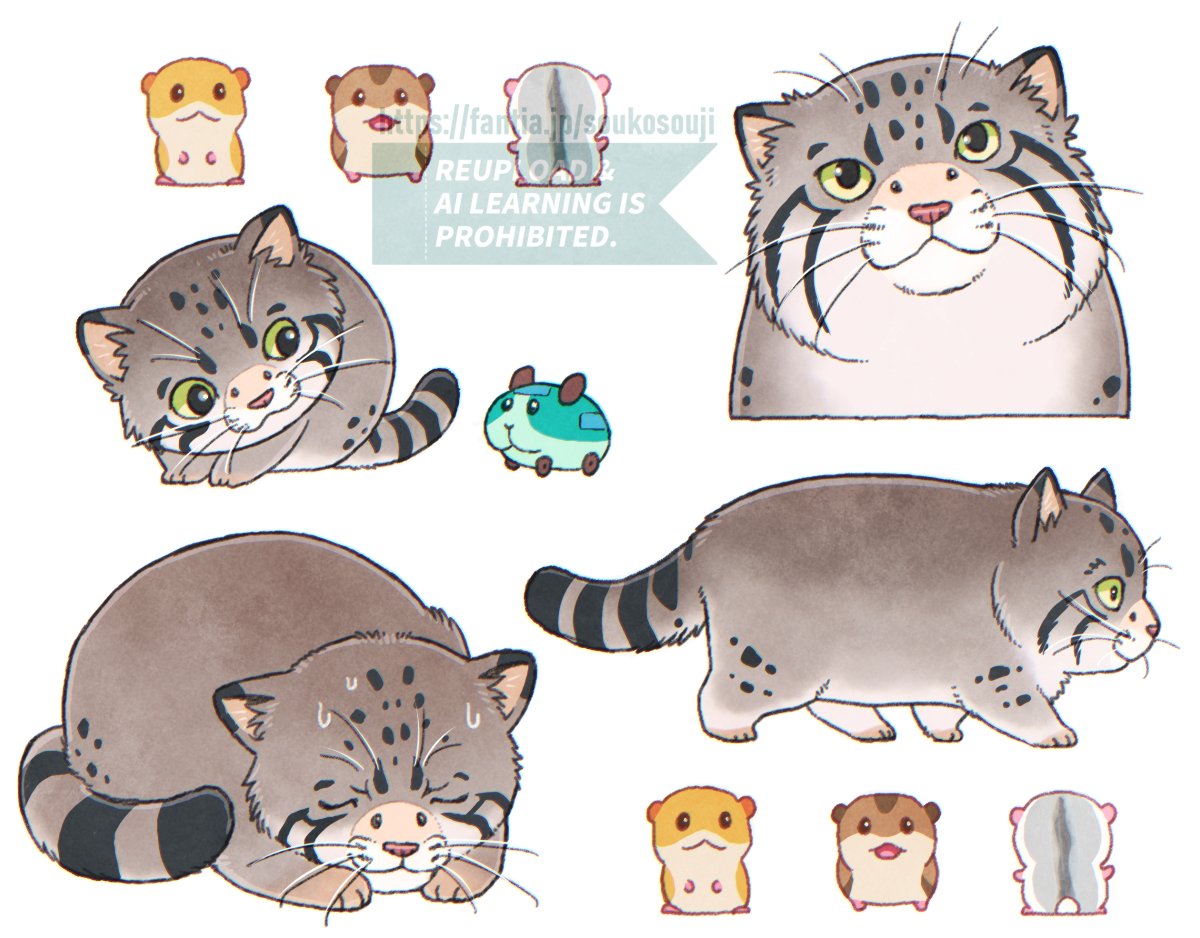 20/20  マヌルネコはみんな顔にハムスターを飼っている 