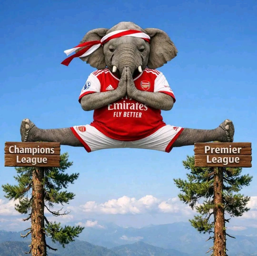 berryBertrand7's tweet photo. I'm Happy #Gunners https://t.co/FosmXIb5Lf