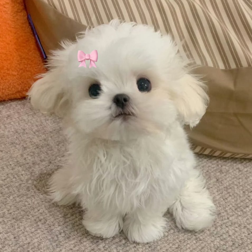 bklhs01's tweet image. 🤲🏻🤲🏻🤲🏻