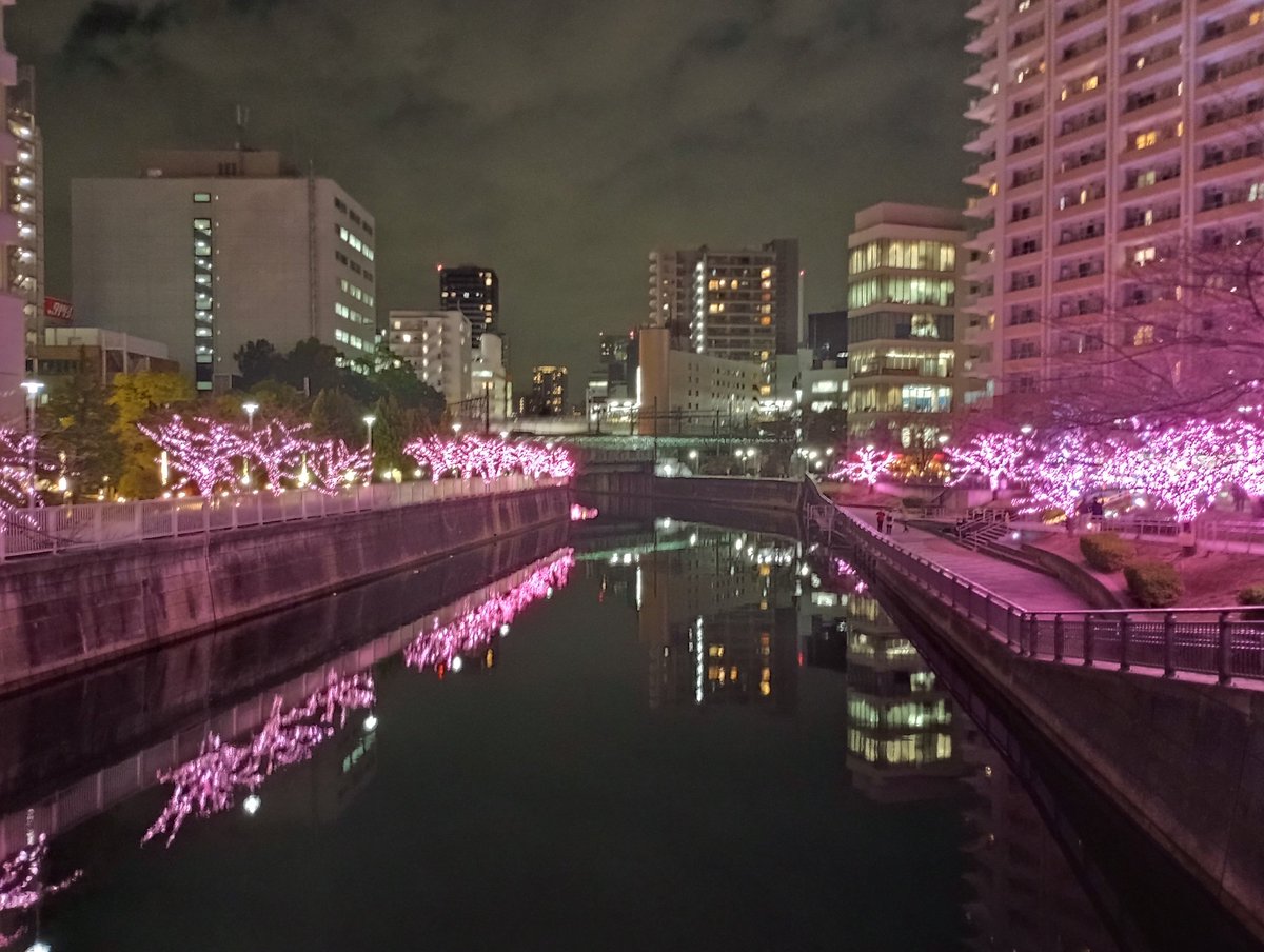 #連続ドラマportraits 

本日のロケハンは終了しました😊
目黒川の桜が満開でした↓なんてね😁

今日は素敵な場所が幾つか見つかって良かった良かった😃
またキレイな映像が撮れますよ〜に✨

#dramaportraits
#セクマイドラマ
#sexualminoritydrama
#レズビアンドラマ
#ゲイドラマ