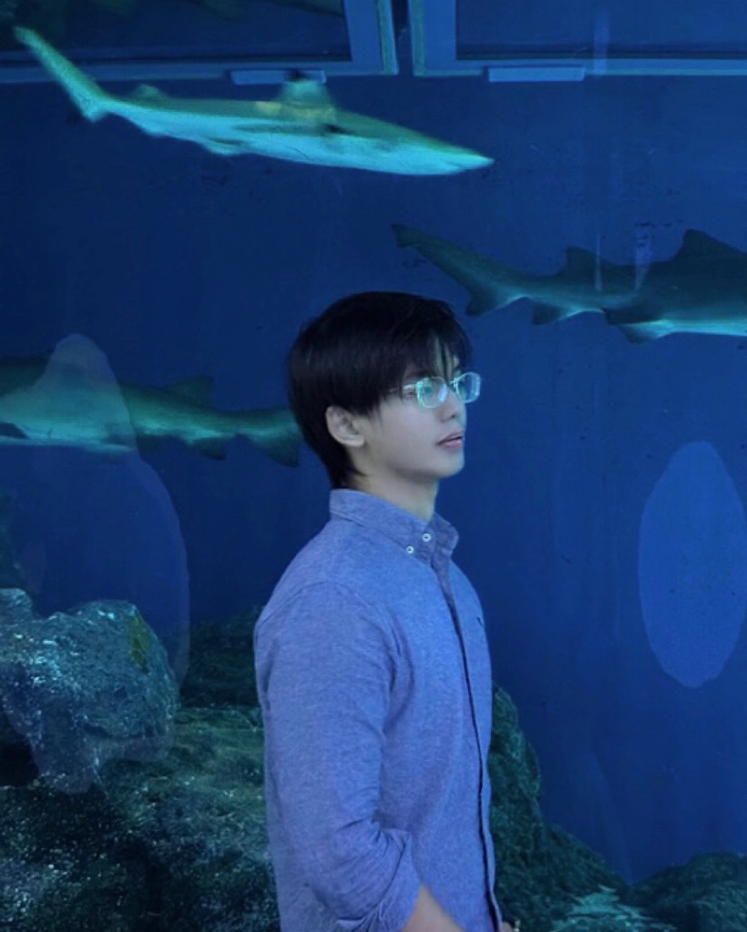 ชอบรูปนี้แต่ยังไม่ได้ลงง