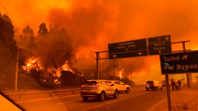 🔴 URGENTE - Anoche en Concepción, mientras Bomberos combatia el Incendio en Puente 4, fuerón atacados a Disparos por Desconocidos, siendo el Tercer Ataque que sufre Bomberos desde que se desato la Emergencia en el Sur de Chile

⚠️ ALCALDE HECTOR MUÑOZ PIDE TOQUE DE QUEDA PARA EL