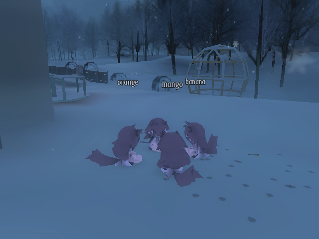 emiau (✦ nophenia small DEMO out ✦) tweet media