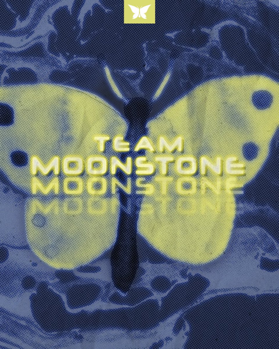 Après déjà quelques mois de travail, on vous présente notre roster diamant-ascendant, la REV Moonstone. #REVMoonstone #EvolversEsport #Valorant