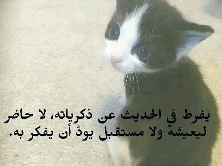 _hahaha0's tweet photo. https://t.co/ta0m47gDXE