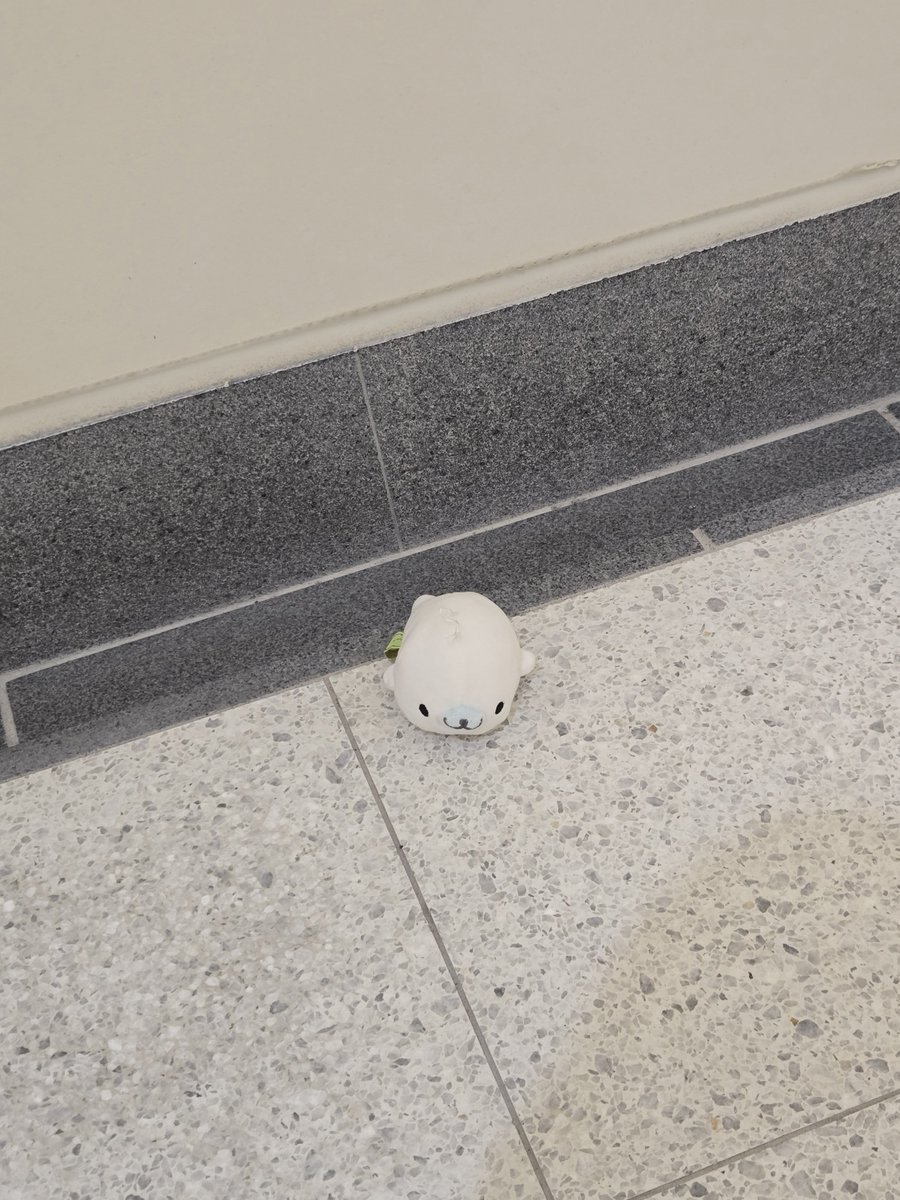 【落とし物】南北線某駅の通路にて「まめゴマ」(サンエックスのあざらしのキャラ)のマスコットの落とし物がありました。紐がちぎれてしまっていました。窓口が閉まっている時間のためとりあえず通路の脇によけておきました。お心当たりの方がいましたら駅と出口をお知らせしますのでご連絡ください。