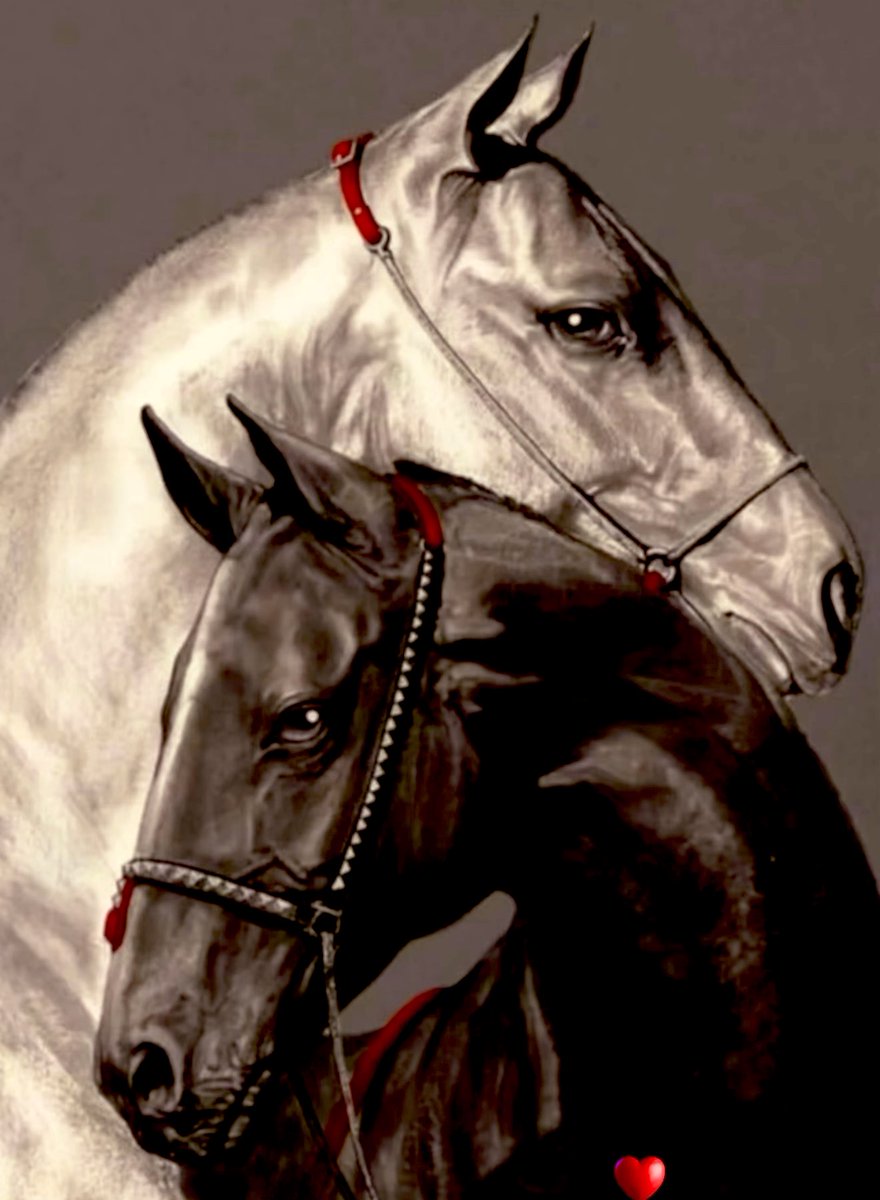 walamn9's tweet photo. إن زانت الأيام خذ صورة علي ظهر الحصان
وإن شانت الأيام خل الخيل مع خيالها https://t.co/fZubujHJ63