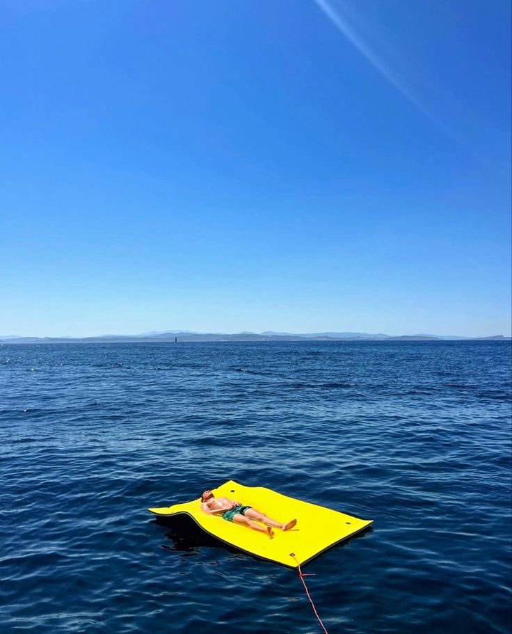 best of lestappen tweet media