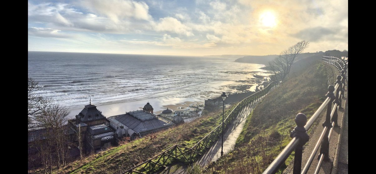 Chig Watts 💛🤍💙🏆 tweet media