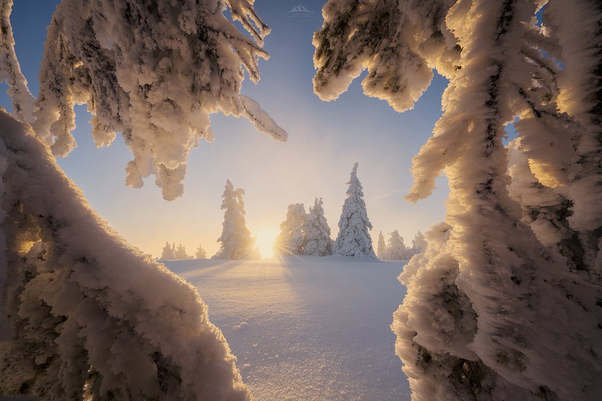 HugoVP55's tweet image. Del año pasado por el parque nacional de Riisitunturi