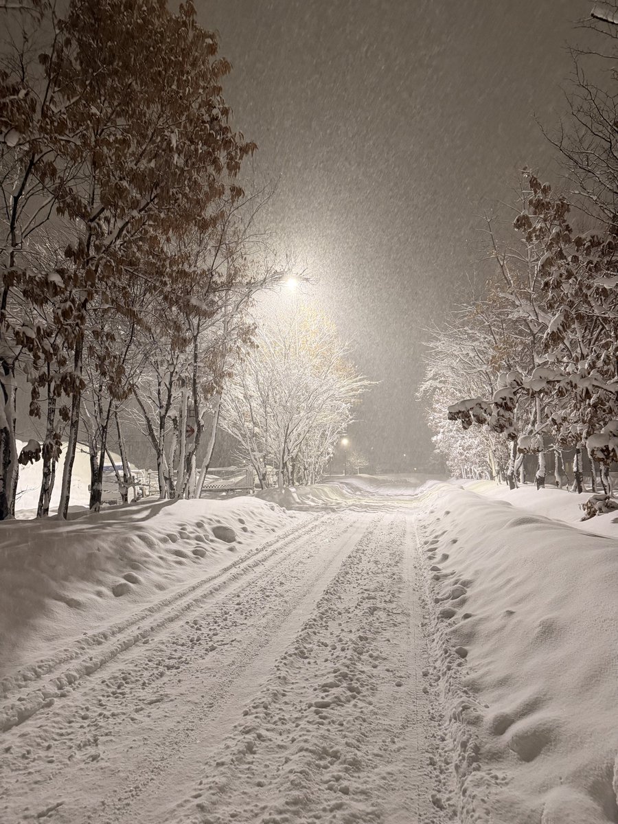 くま太郎@ (@bankuma59) / Posts / X