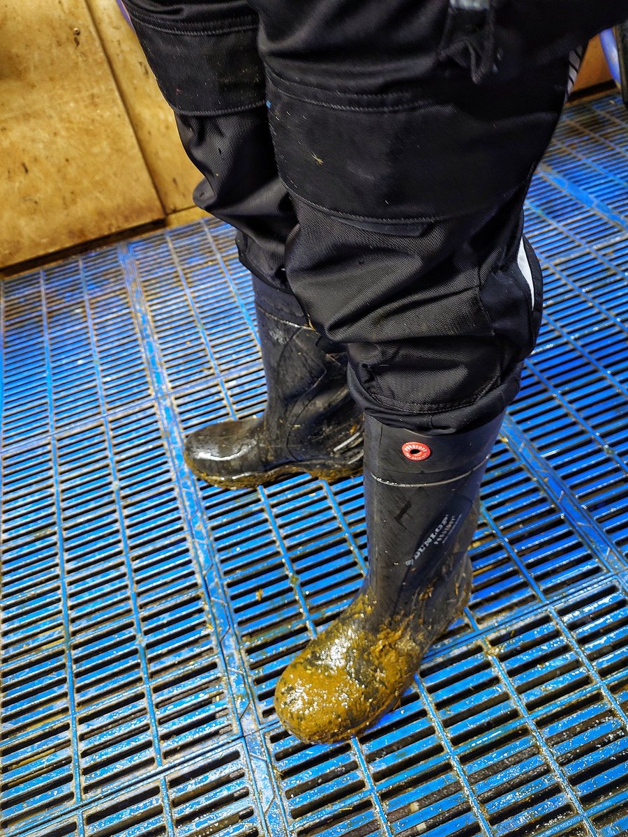 Mudbiker NL tweet media