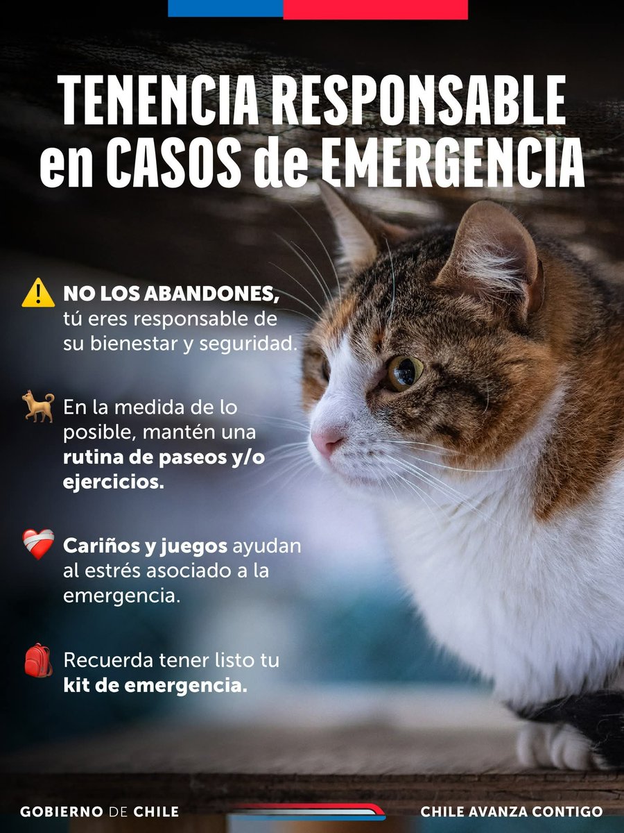 🐶🐱 no los abandones 🥺
#incendio #IncendiosForestales #mascotas #Emergencias #tenenciaresponsable