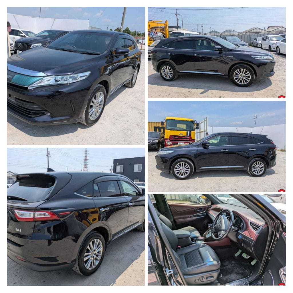 Rabin Motors tweet media