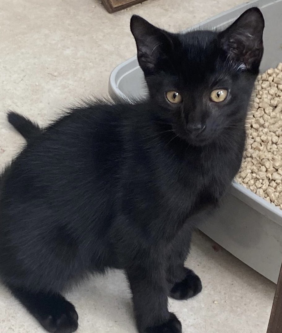 Marjorie Nash tweet media