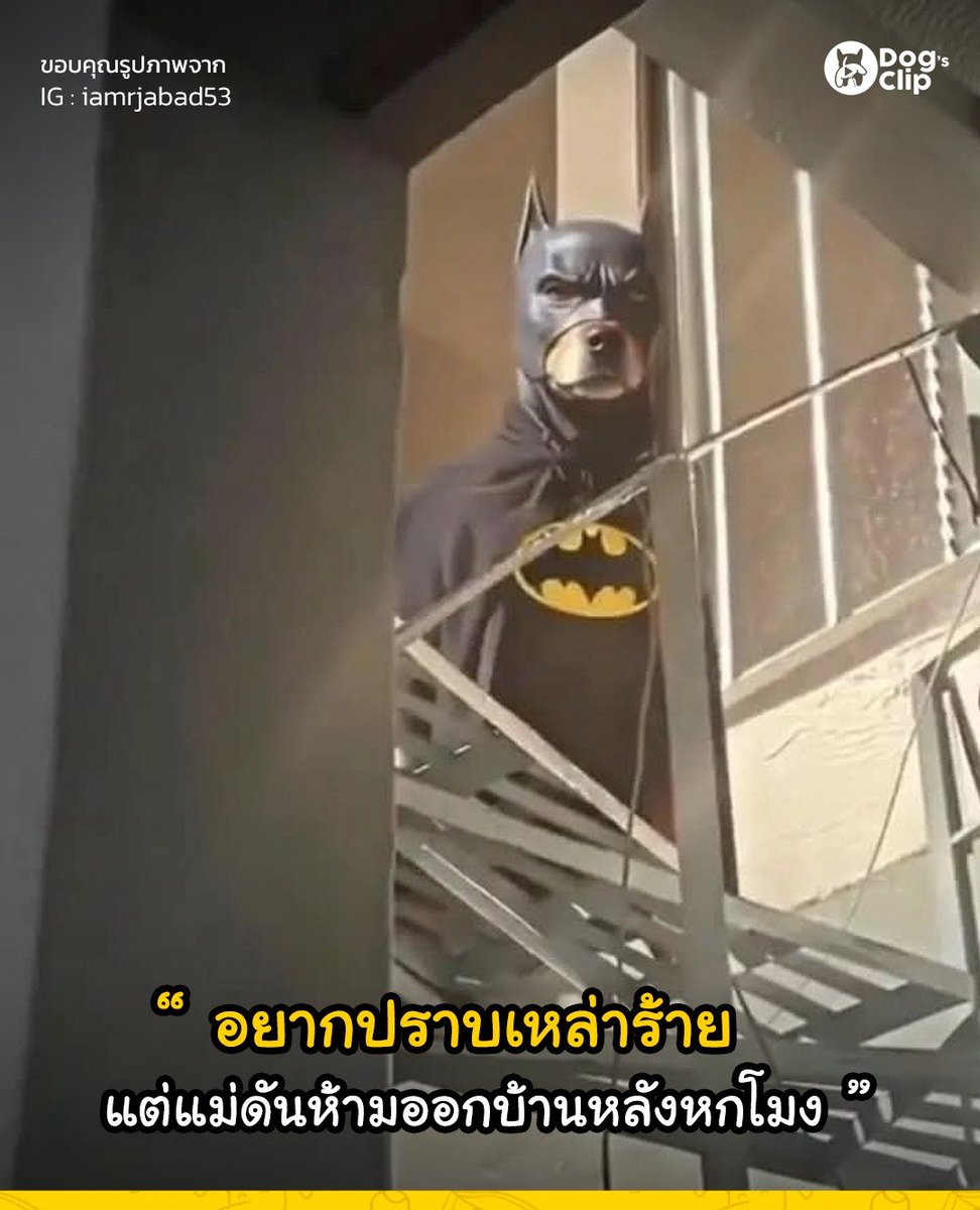 EYELESSS69's tweet image. เดี๋ยวโดนตี