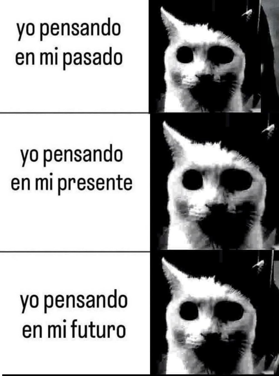 memes feos yo qué sé (@memefeos) on Twitter photo 