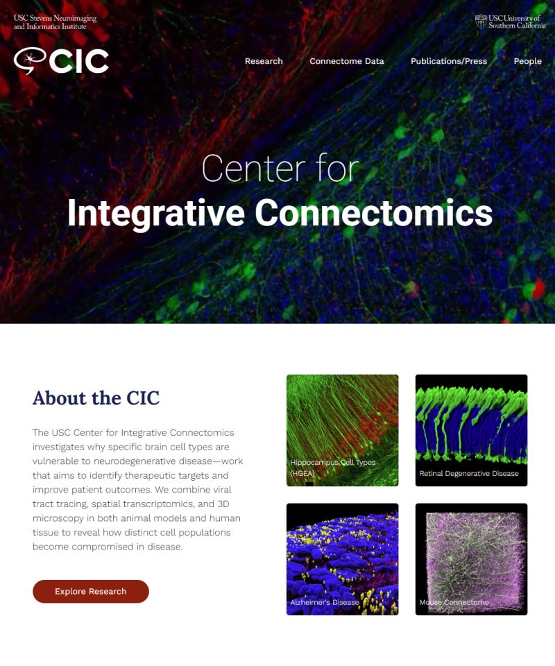 Lab of Neuro Imaging tweet media