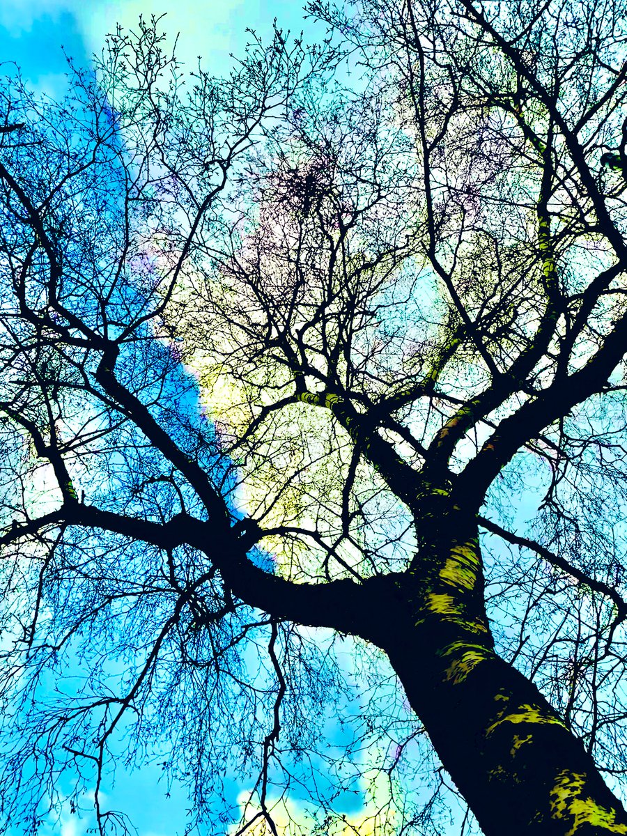 roger_geeson's tweet photo. Onwards and upwards. https://t.co/vec5d5PbGC