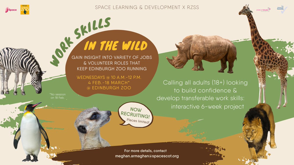 SpaceBroomhouse's tweet image. Looking to build confidence and develop transferable work skills?

Contact meghan.armaghan@spacescot.org for more details on our interactive 6-week project, presented by
@SpaceBroomhouse &amp;amp; @EdinburghZoo.

#WorkSkillsInTheWild #WorkSkills #Space #BroomhouseHub #EdinburghZoo