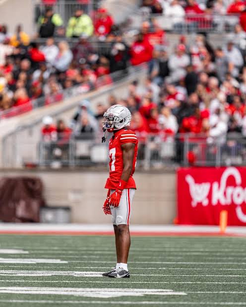 NoFilm_Analysis's tweet image. Carnell Tate, WR, Ohio State
Prospect Notes

Carnell Tate is the best vertical playmaker in the 2026 NFL Draft, with a rare blend of elite ball skills, dominant downfield playmaking, and one of the cleanest analytical profiles in the draft. 

Tate is one of the easiest…