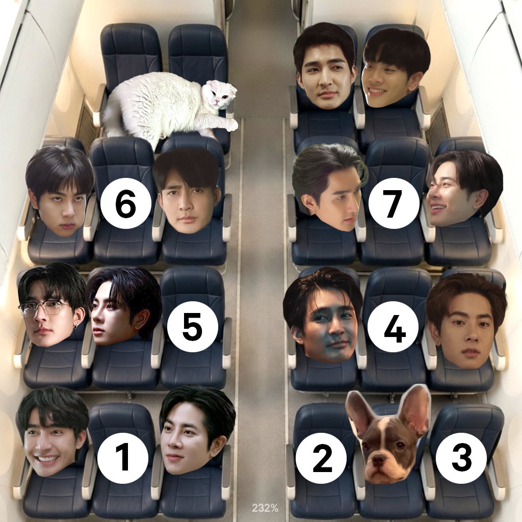 ⭐︎BENさん専用ページ⭐︎ ⑧やな。 ベンベン膝に乗せて後方からじっくりと全員観察する。 ただ