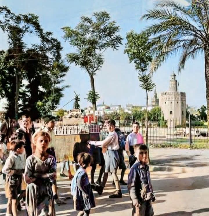 joseangelrios92's tweet photo. Una Cruz de Mayo en calle Betis. Año 1952. https://t.co/nH1teeEHYp