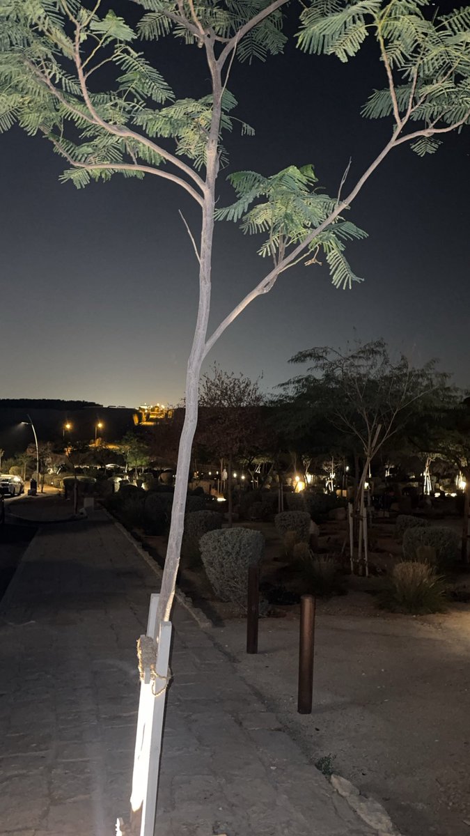 غانم tweet media