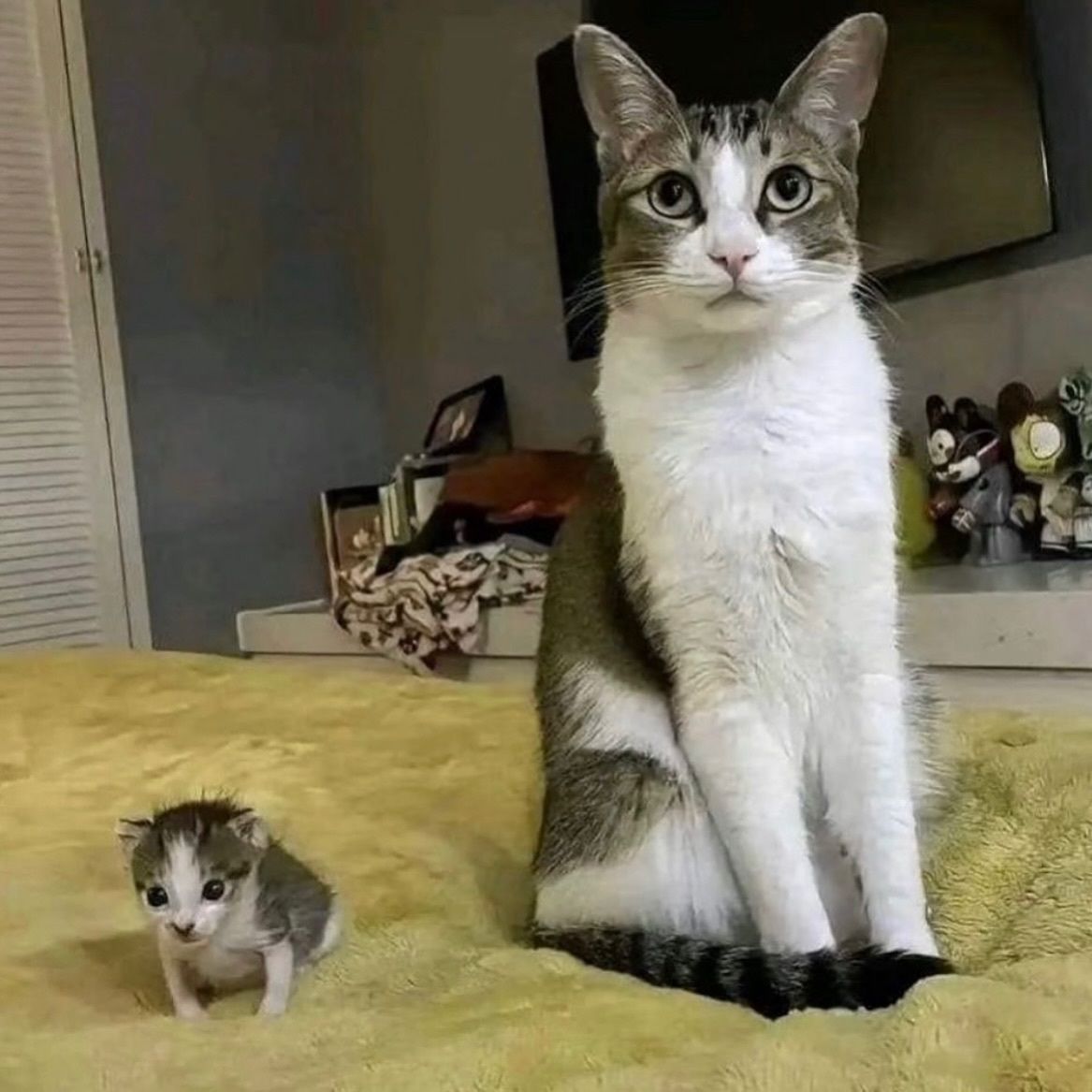 me and my homunculus son