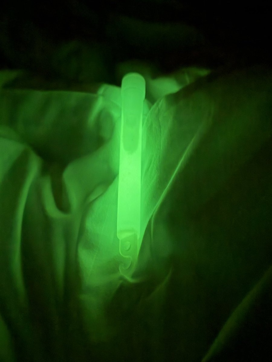 ne nes ter 小辰 tweet media