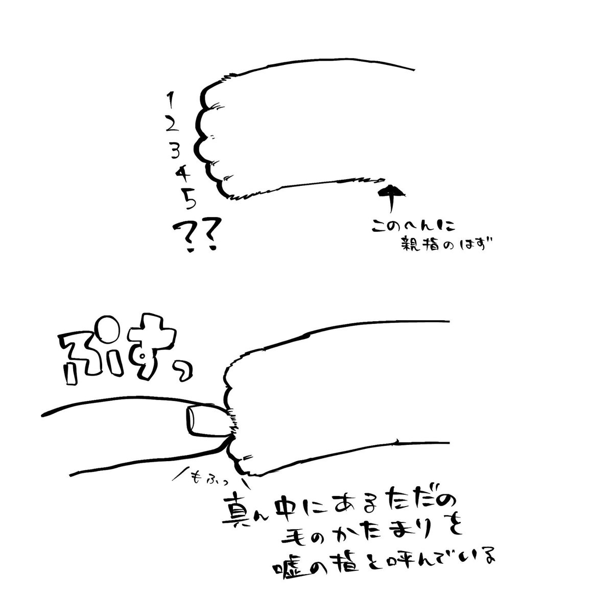 うちの猫だけ？