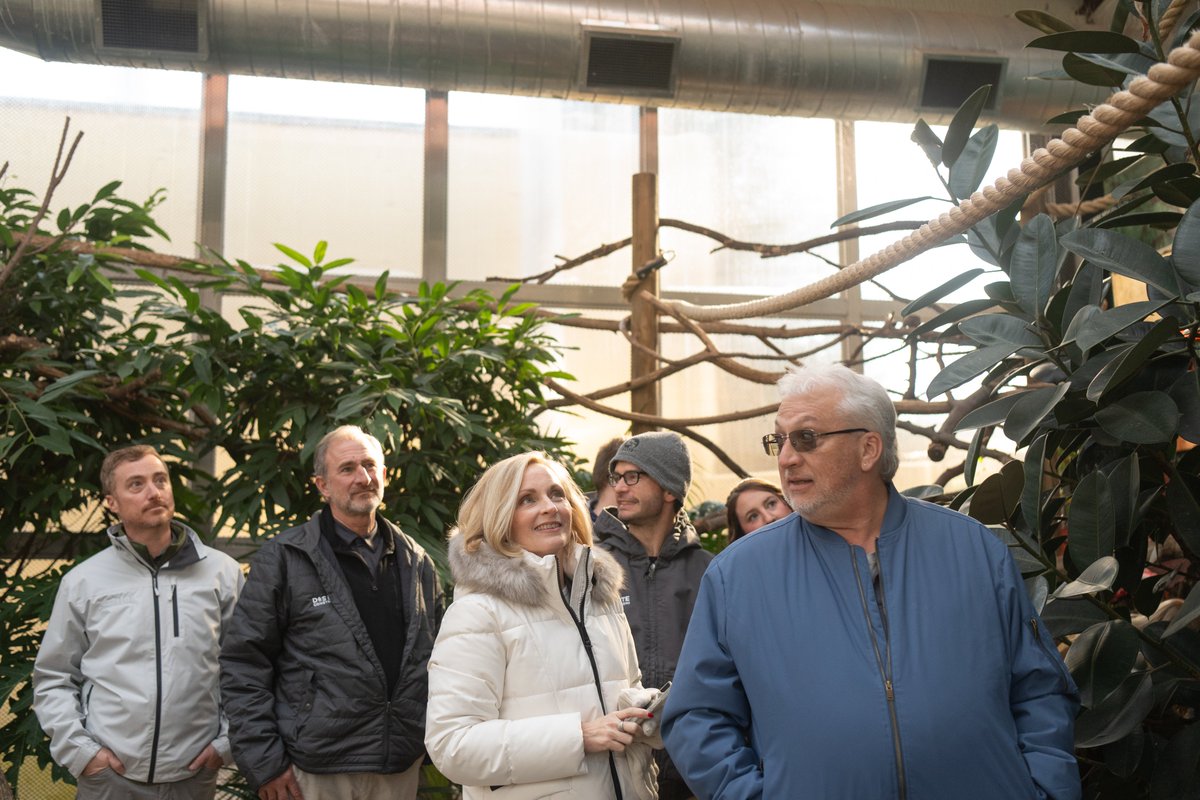 D&S Elite Construction, Inc. tweet media