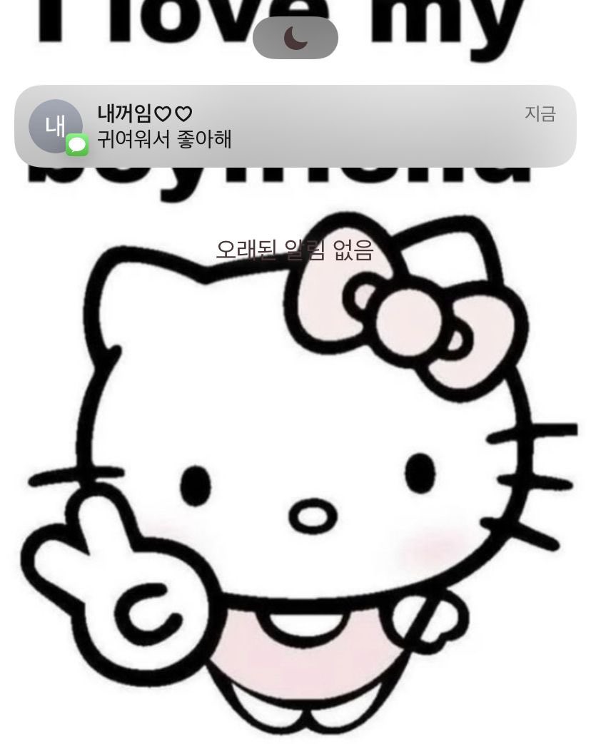 🐱💔 tweet media