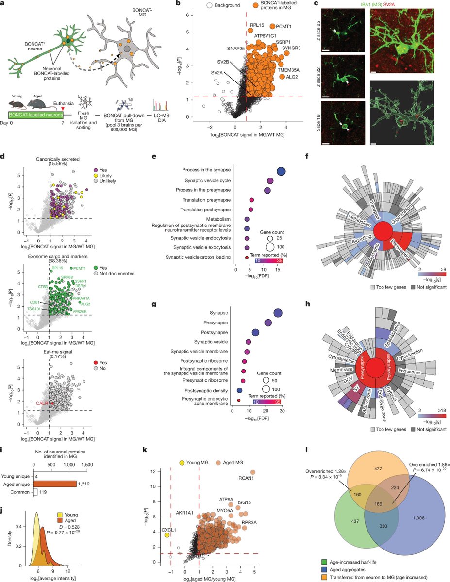 John Lukens tweet media