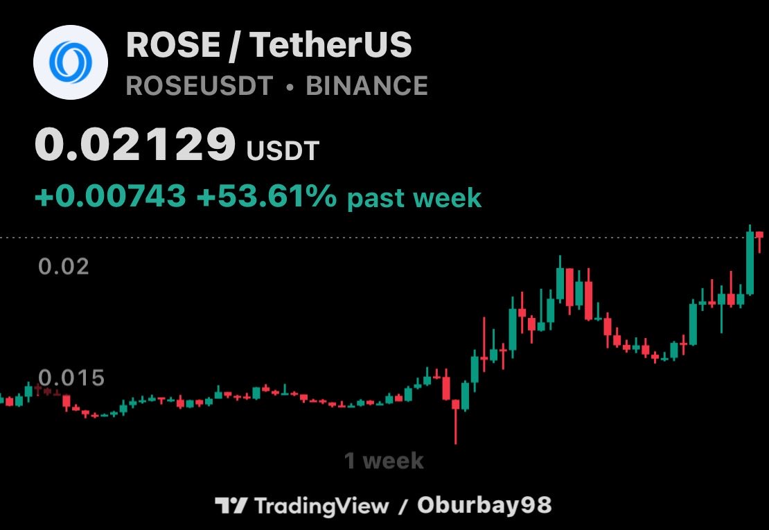 Kurdo 🚀 tweet media