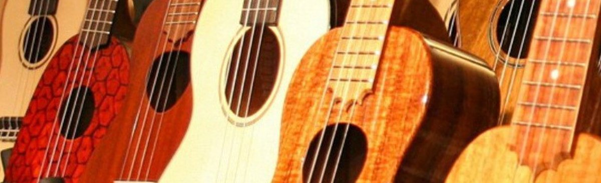 One Red Maple tweet media